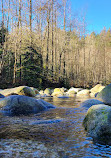 Lynn Canyon Suspension Bridge