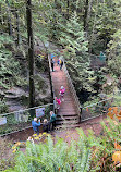 Lynn Canyon Suspension Bridge