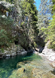 Lynn Canyon Suspension Bridge