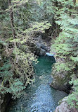 Lynn Canyon Suspension Bridge