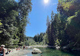 Lynn Canyon Suspension Bridge