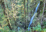 Lynn Canyon Suspension Bridge