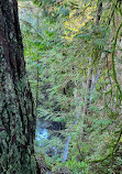 Lynn Canyon Suspension Bridge