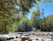 Lynn Canyon Suspension Bridge