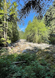 Lynn Canyon Suspension Bridge