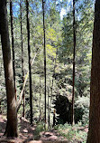 Lynn Canyon Suspension Bridge