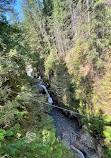 Lynn Canyon Suspension Bridge