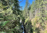 Lynn Canyon Suspension Bridge