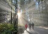 Lynn Canyon Suspension Bridge