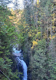 Lynn Canyon Suspension Bridge