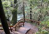 Lynn Canyon Suspension Bridge