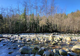 Lynn Canyon Suspension Bridge