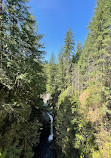 Lynn Canyon Suspension Bridge