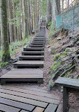 Lynn Canyon Suspension Bridge