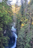 Lynn Canyon Suspension Bridge