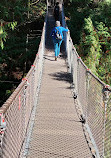 Lynn Canyon Suspension Bridge