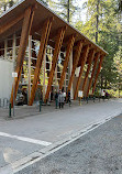 Lynn Canyon Suspension Bridge