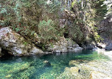 Lynn Canyon Suspension Bridge