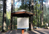 Lynn Canyon Suspension Bridge