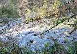 Lynn Canyon Suspension Bridge