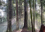 Lynn Canyon Suspension Bridge