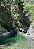 Lynn Canyon Suspension Bridge