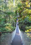 Lynn Canyon Suspension Bridge