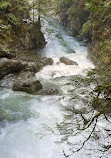 Lynn Canyon Suspension Bridge