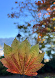 Deep Cove Park