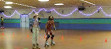 Laurel Roller Skating Center