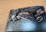 Archaeological Park of Herculaneum