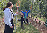 The Orchard at Doc Waters Cidery