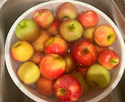 The Orchard at Doc Waters Cidery