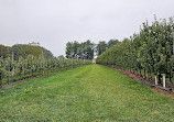 The Orchard at Doc Waters Cidery