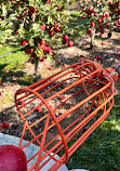 The Orchard at Doc Waters Cidery