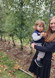 The Orchard at Doc Waters Cidery