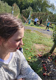 The Orchard at Doc Waters Cidery