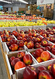 Lewis Orchards