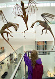 Ulster Museum