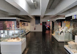 Ulster Museum