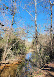 River Birch Trail