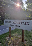 Picnic Mountain Area