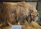 Natural History Museum of Utah