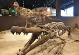 Natural History Museum of Utah