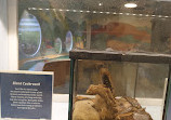 Natural History Museum of Utah