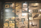 Natural History Museum of Utah