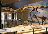 Natural History Museum of Utah