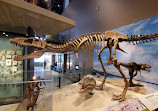 Natural History Museum of Utah