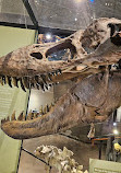 Natural History Museum of Utah