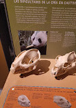 Natural History Museum of Utah